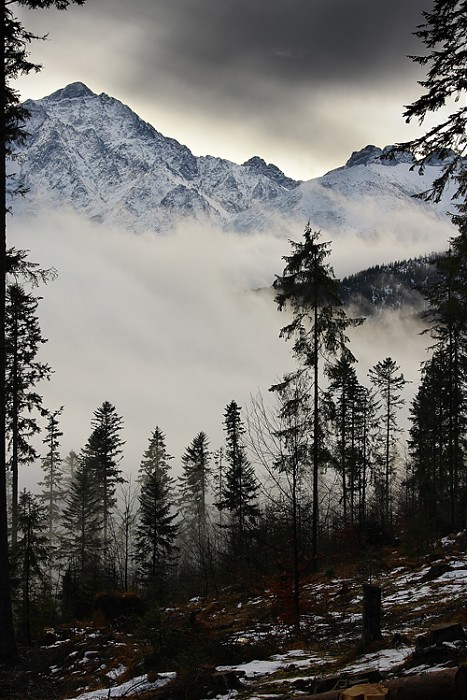 Lodowy Szczyt