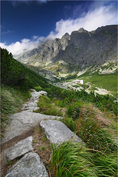Dolina Wielicka