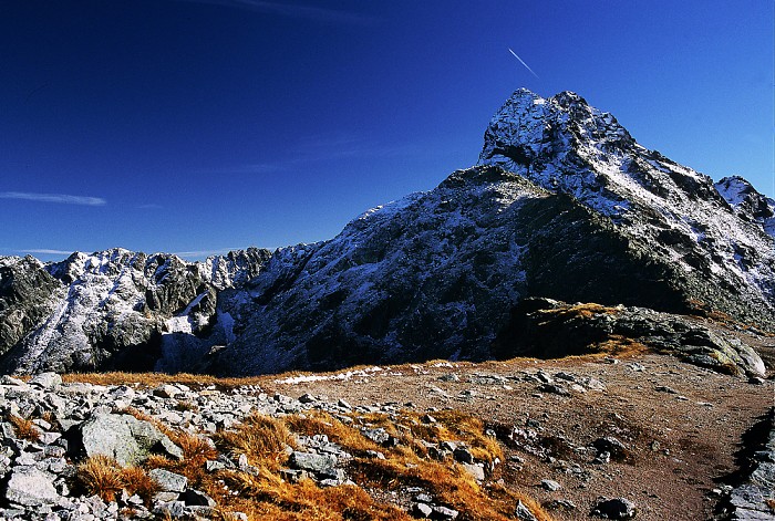 Świnica.