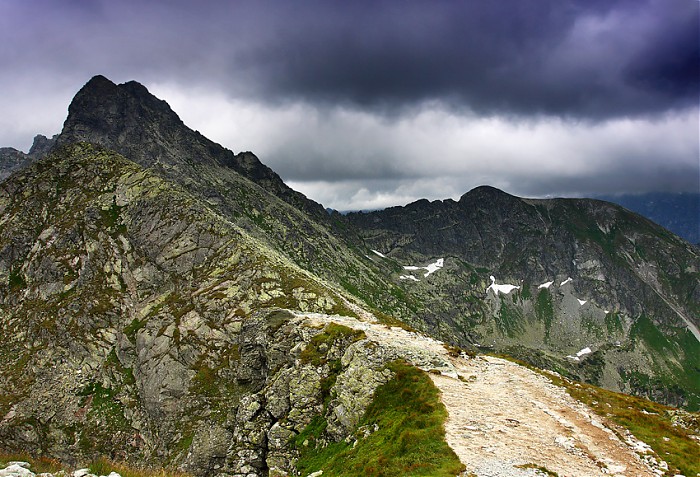 Świnica