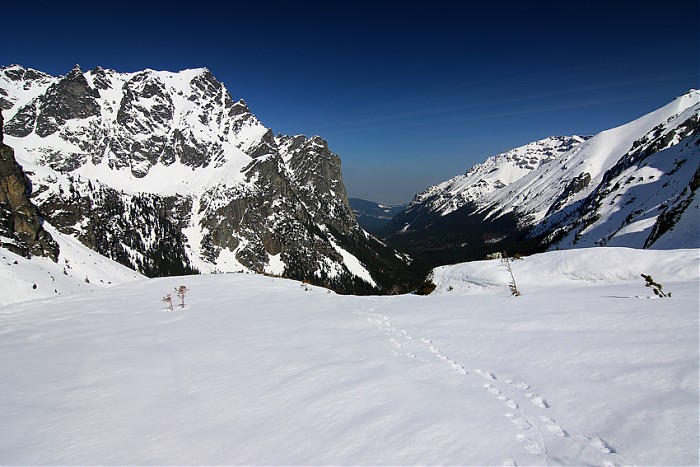 Młynarz