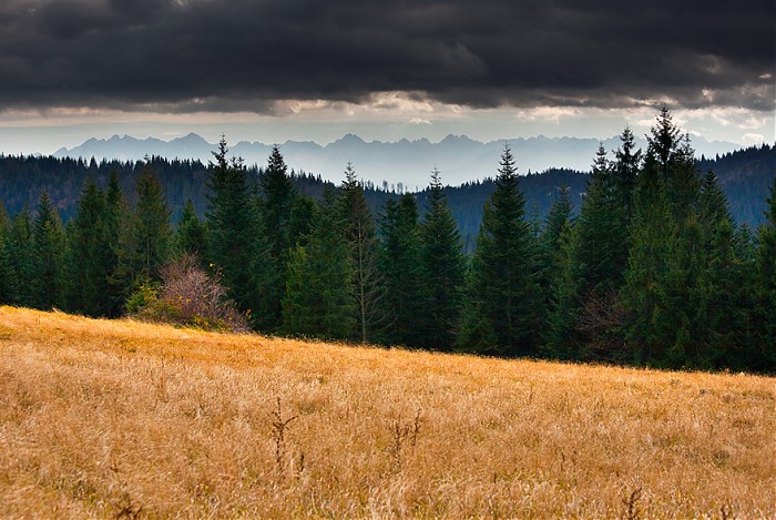 Tatry