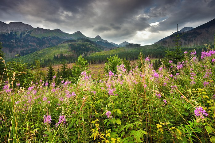 Tatry Bielskie