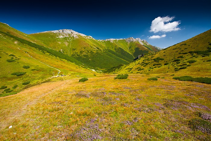 Tatry Bielskie