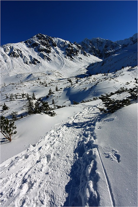 Tatry
