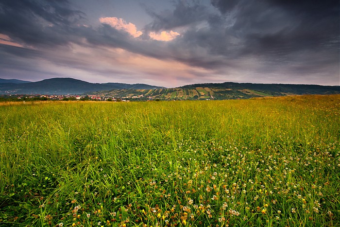Beskid Makowski