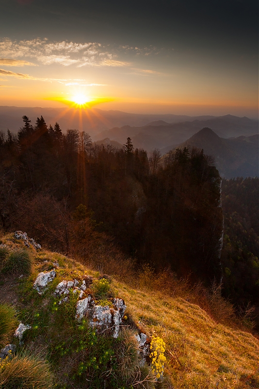 Pieniny