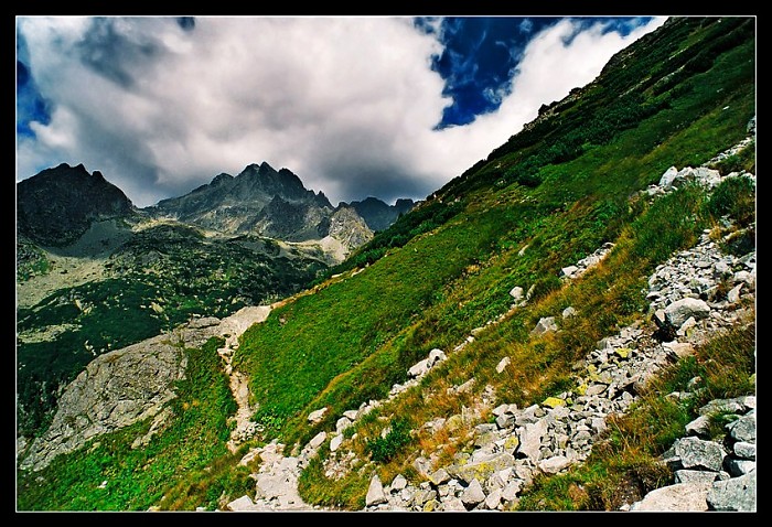 Wysoka