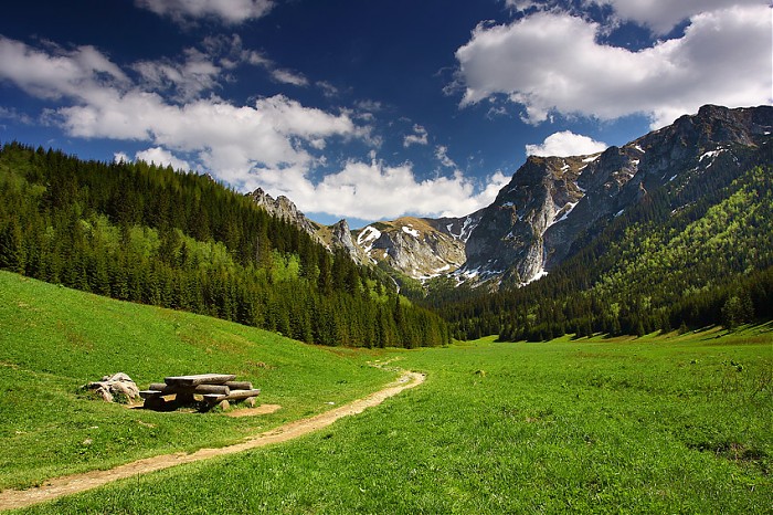 Polana