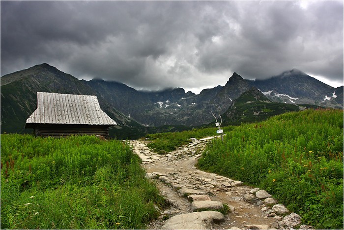 Na rozstaju dróg