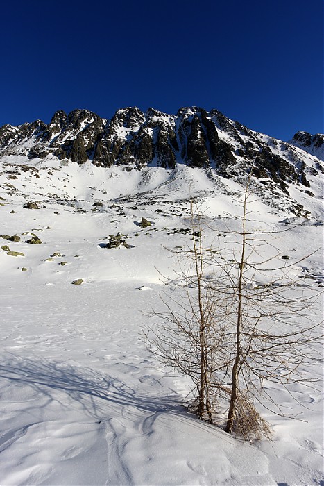 Dolina Furkotna.