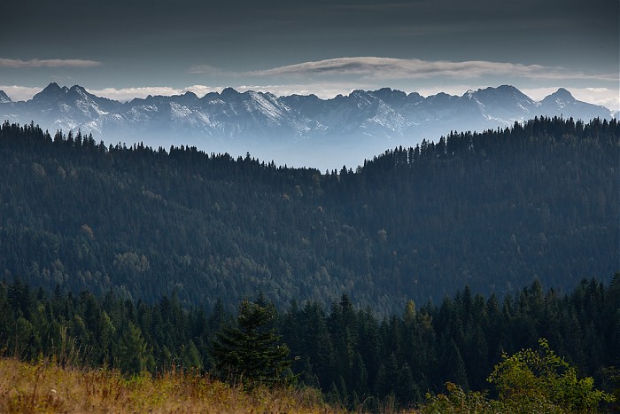 Tatry