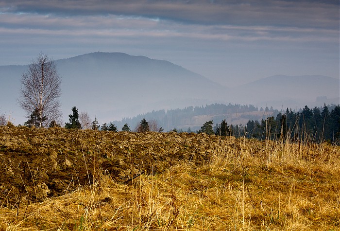 Luboń 