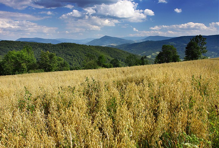 Beskid Wyspowy