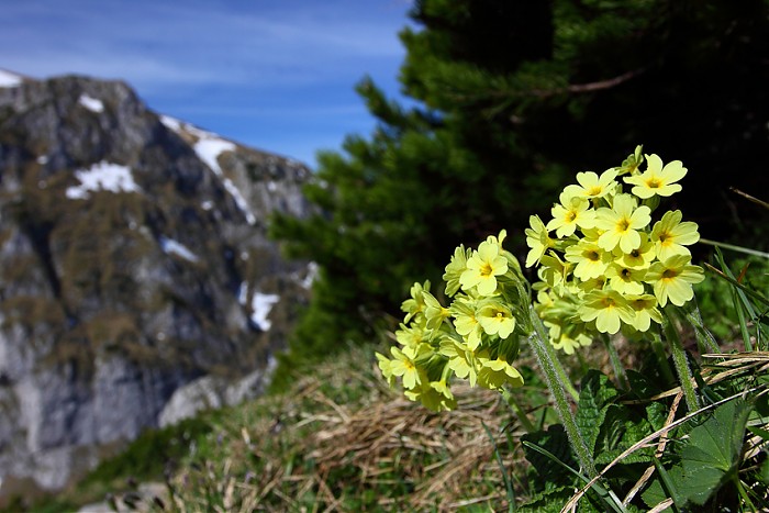Wiosna w Tatrach