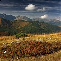 Tatry Zachodnie