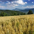 Beskid Wyspowy